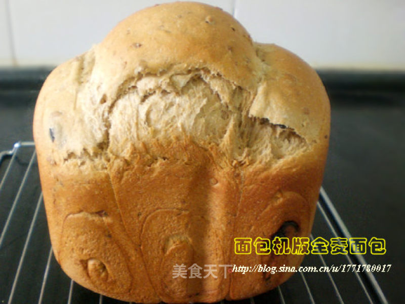 Bread Machine Version [whole Wheat Bread] recipe