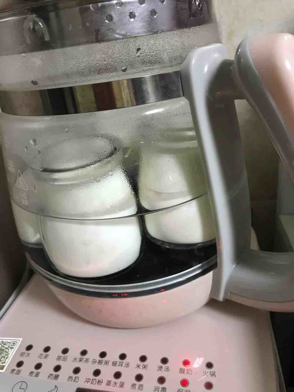 Homemade Yogurt (healthy Pot Version) recipe