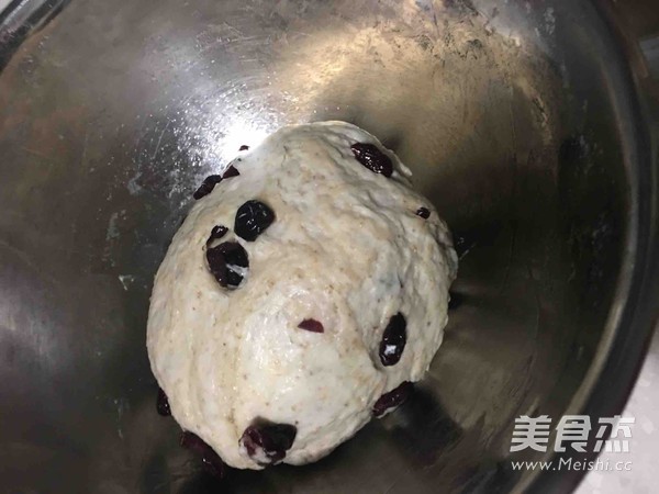 No-knead Whole Wheat Cranberry Soft European Bun recipe