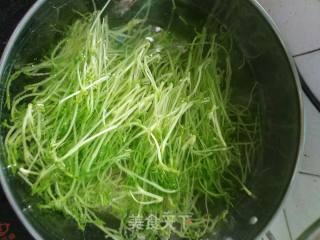 Garlic Pine Willow Buds recipe