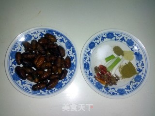 Crispy Silkworm Pupa recipe