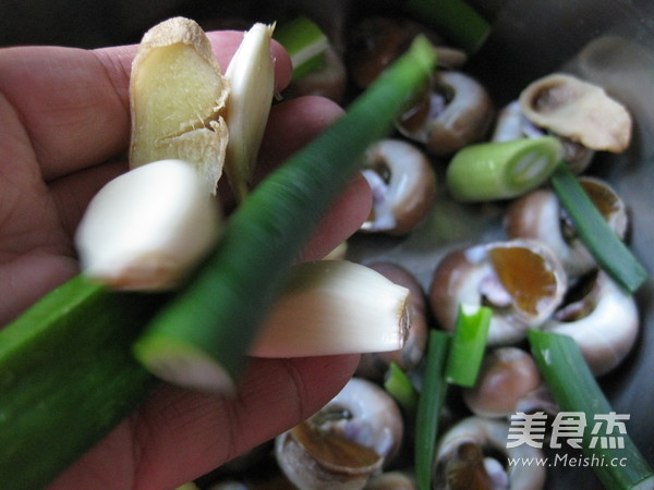 Boiled Snails recipe