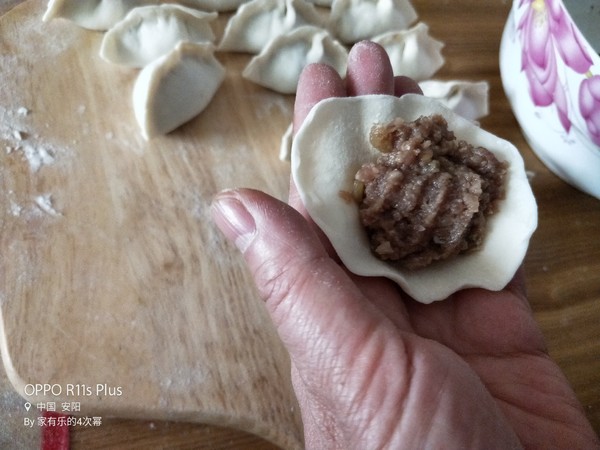 Beef Lotus Dumplings recipe