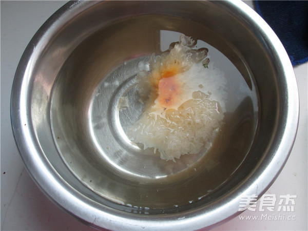 Peach Gum Hashima and White Fungus Soup recipe