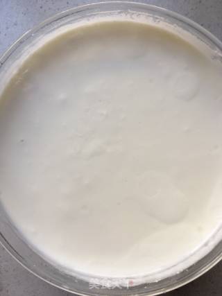 Nut Yogurt recipe