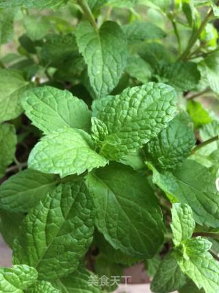 Lemon Mint Water recipe