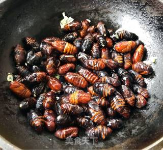 Stir-fried Silkworm Chrysalis with Garlic Chili Sauce recipe