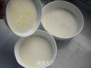 Colostrum Milk Tofu recipe
