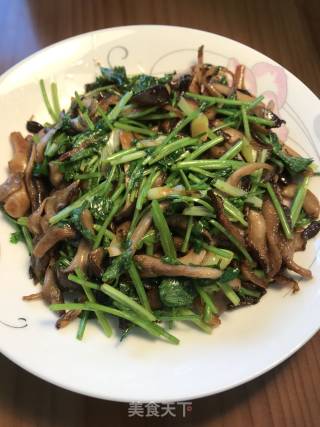 Stir-fried Mini Mushroom with Coriander recipe