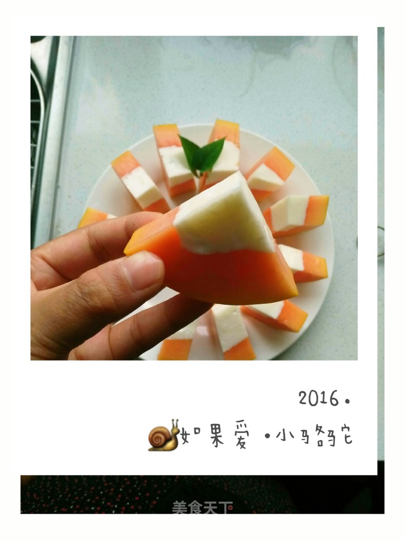 Halal Papaya Yogurt Jelly recipe