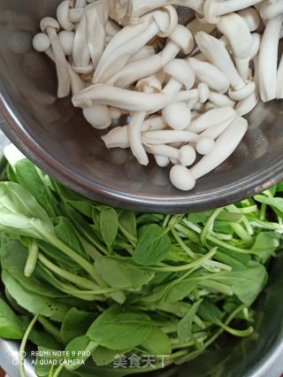Grilled White Jade Mushroom with Small Vegetables recipe