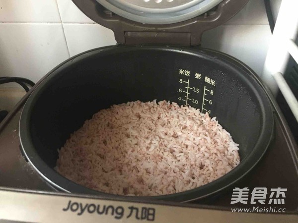 Multigrain Braised Pork Rice Ball recipe