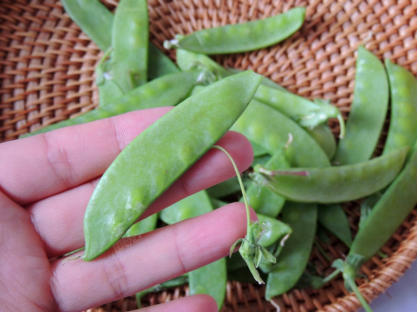 Fried Snow Peas with Pleurotus Eryngii recipe