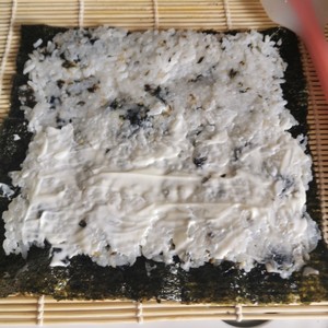 Zero Failure for Newbies with Sushi and Seaweed Rice recipe