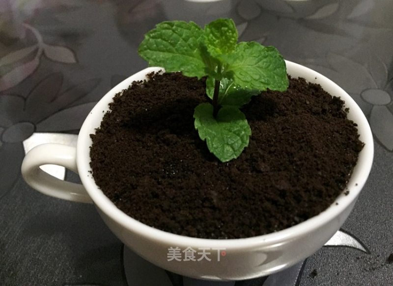 Chuanxiu Yogurt Potted Plant recipe