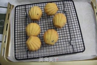 Stir-fried Blueberry Madeleine recipe