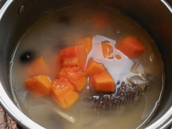 Red Dates, Papaya and Crucian Carp Soup recipe