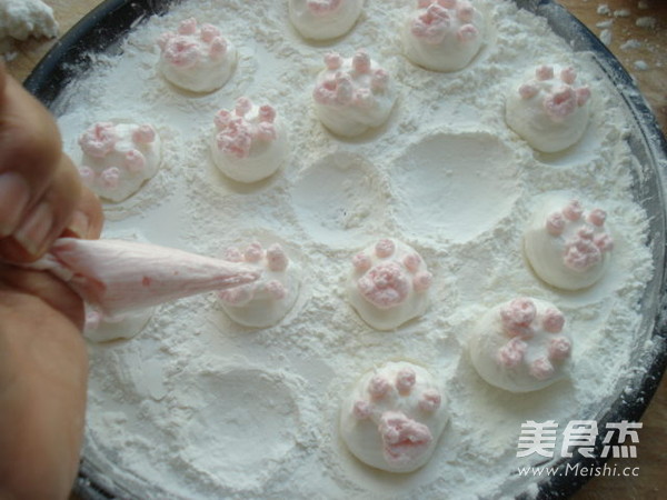 Cat's Claw Marshmallow recipe
