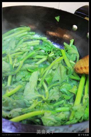 Stir-fried Pumpkin Seedlings with Garlic recipe