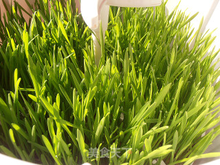 Apple Lemon Wheatgrass Juice recipe