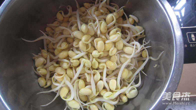 Fried Noodles with Bean Sprouts recipe