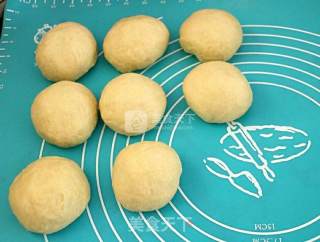 Honey Bean Medium Kind Buns recipe