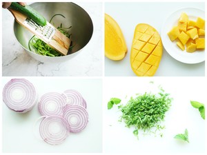 Mint Mango Shrimp Salad in Southeast Asia in One Second recipe