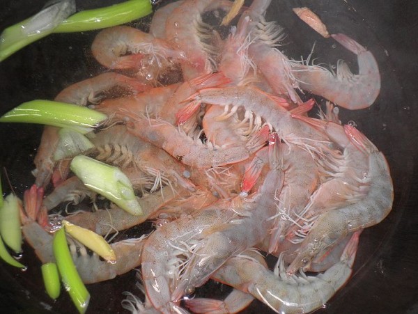 Boiled Brine Shrimp recipe