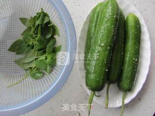 Nepeta Mixed with Cucumber recipe