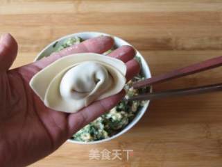 Vegetable Meat Wonton recipe