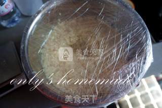 Fermented Rice recipe