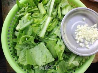 Stir-fried Bitter Wheat Vegetables recipe