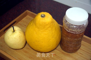 Pear and Grapefruit Juice recipe