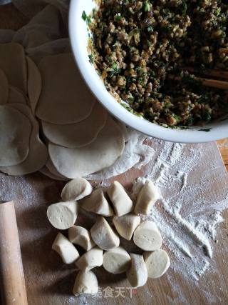 Mushroom and Celery Pot Stickers recipe