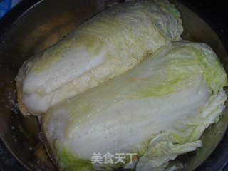 Learn to Make Spicy Cabbage~ recipe