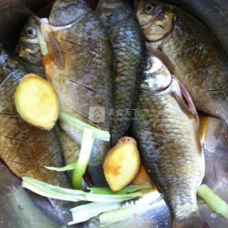 Braised Wild Crucian Carp recipe