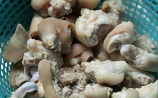 Braised Pork Knuckles recipe