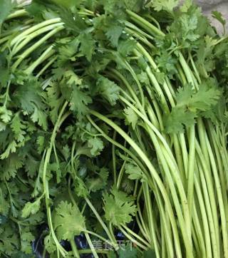 Stir-fried Golden Abalone with Cilantro recipe