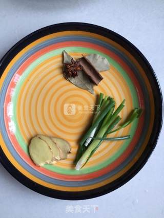 Homemade Braised Pork recipe