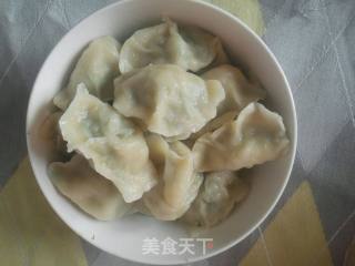 Fennel Seedlings Pork Dumplings recipe