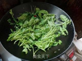 Fried Radish Seedlings with Fermented Bean Curd recipe