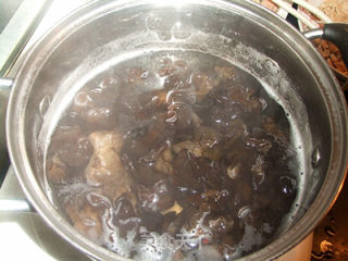 Cold Fungus recipe