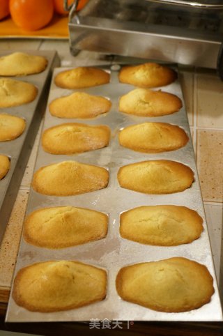Chocolate Madeleine recipe