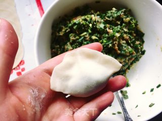 Leek and Pork Dumplings recipe