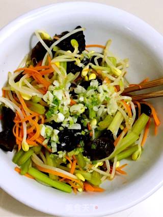 Four Vegetarian Salad recipe