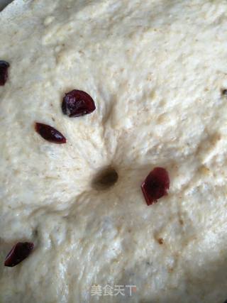 Cranberry Whole Wheat Bread recipe