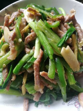 *reunion Rice*shredded Pork with Green Pepper recipe