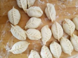 #御寒美食#carrot Beef Dumplings recipe