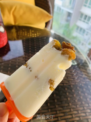 Yogurt and Raisin Low Fat Ice Cream recipe
