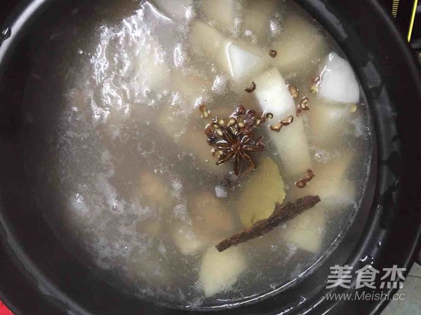 Beef Tendon Stewed with Radish recipe